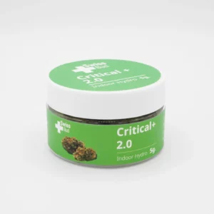 Fleur CBD – Critical+2.0 – Swiss Bud