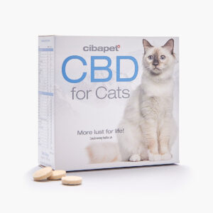 Pastilles de CBD 4% pour chats