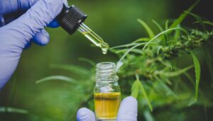 Huile CBD de qualité