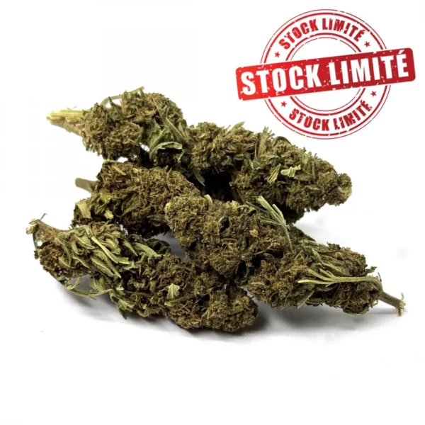 Fleurs de CBD Orange Bud